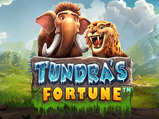Tundra’s Fortune™ screenshot